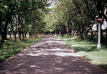 Camino de Acceso a la Escuela Alberdi
