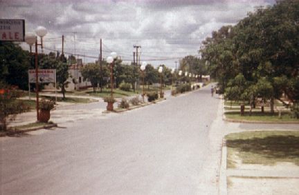 Avenida Los Eucaliptos